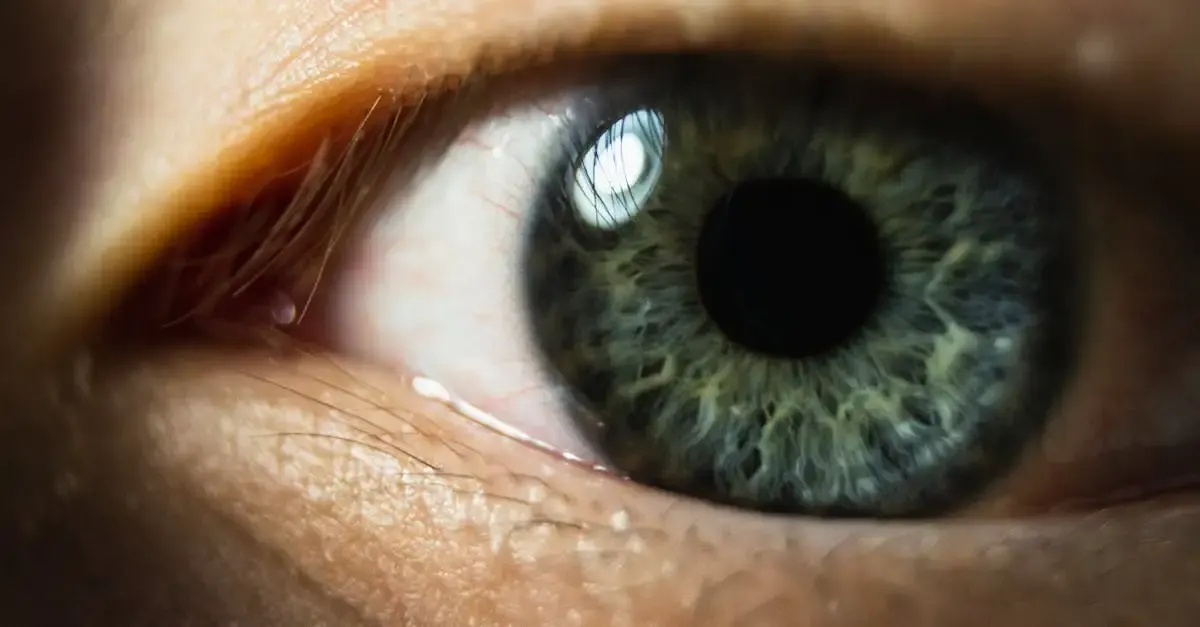 Iris fotografie in meiner nähe