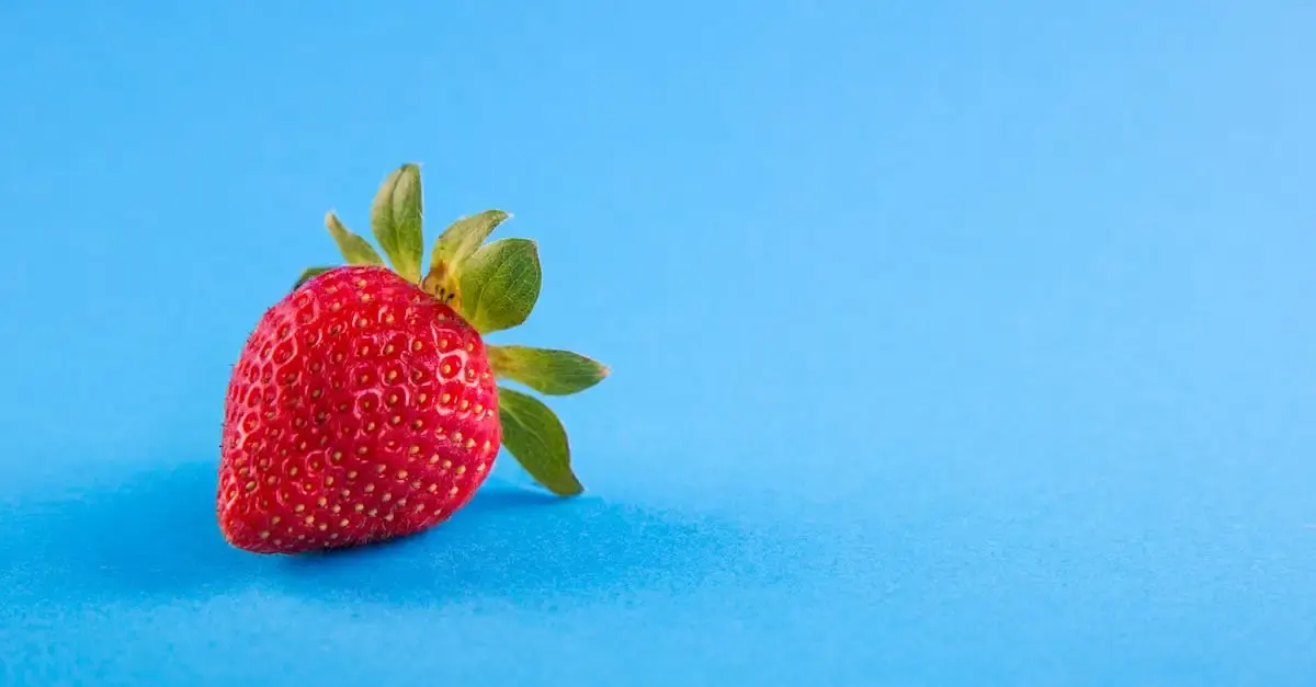Lebensmittel fotografie