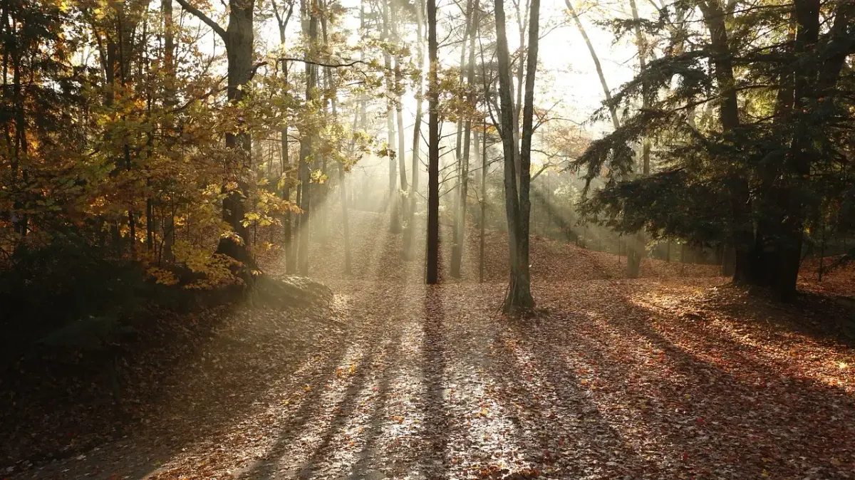 Lichtschacht fotografie