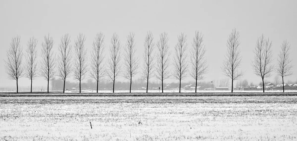 Orange Filter in der Schwarz-Weiß-Fotografie nutzen