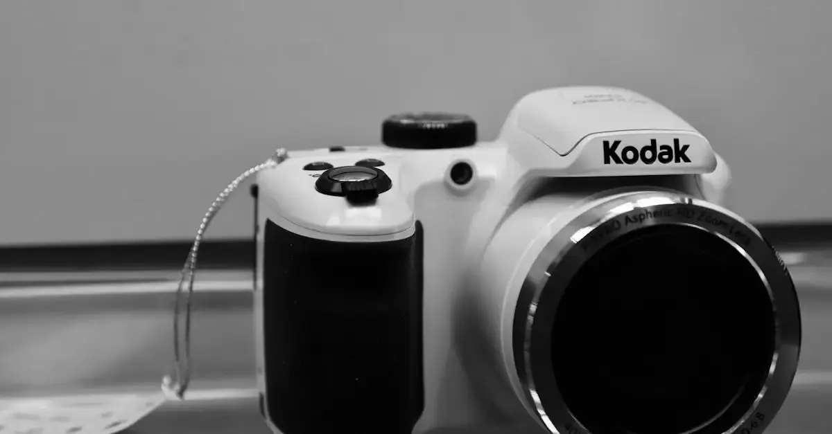 Schnappschuss fotografie