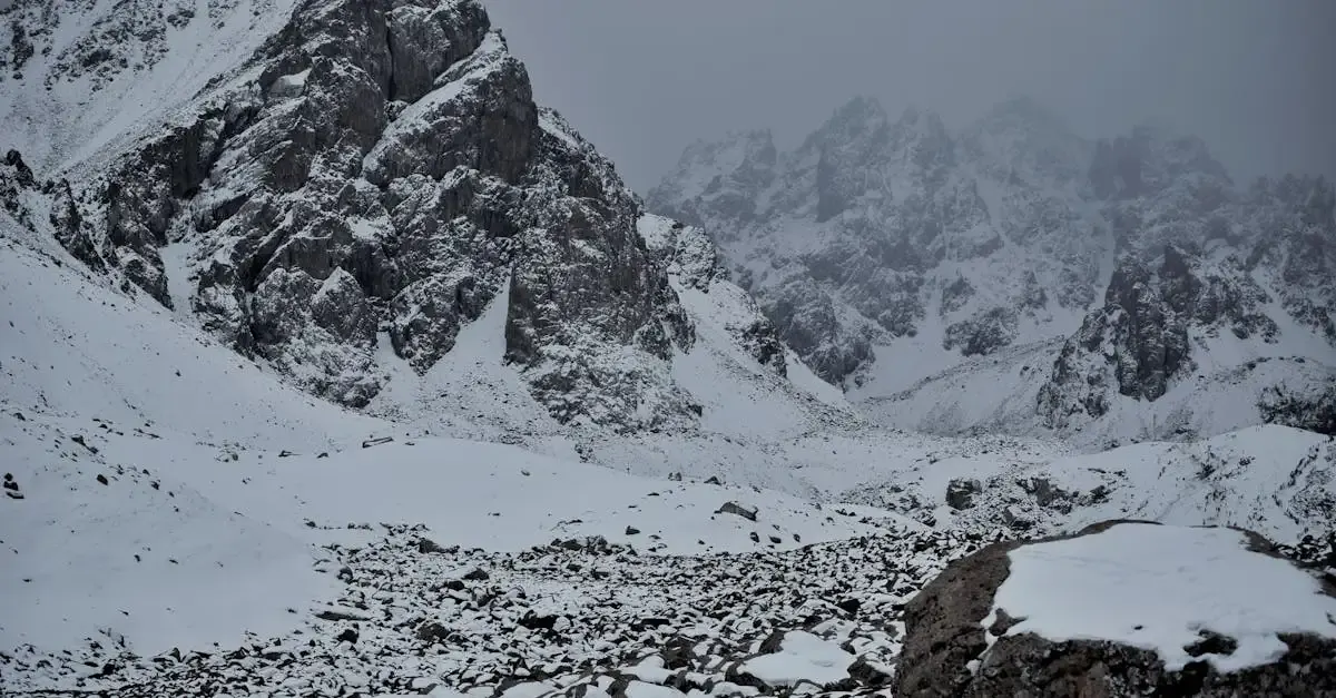 Fotografie schnee