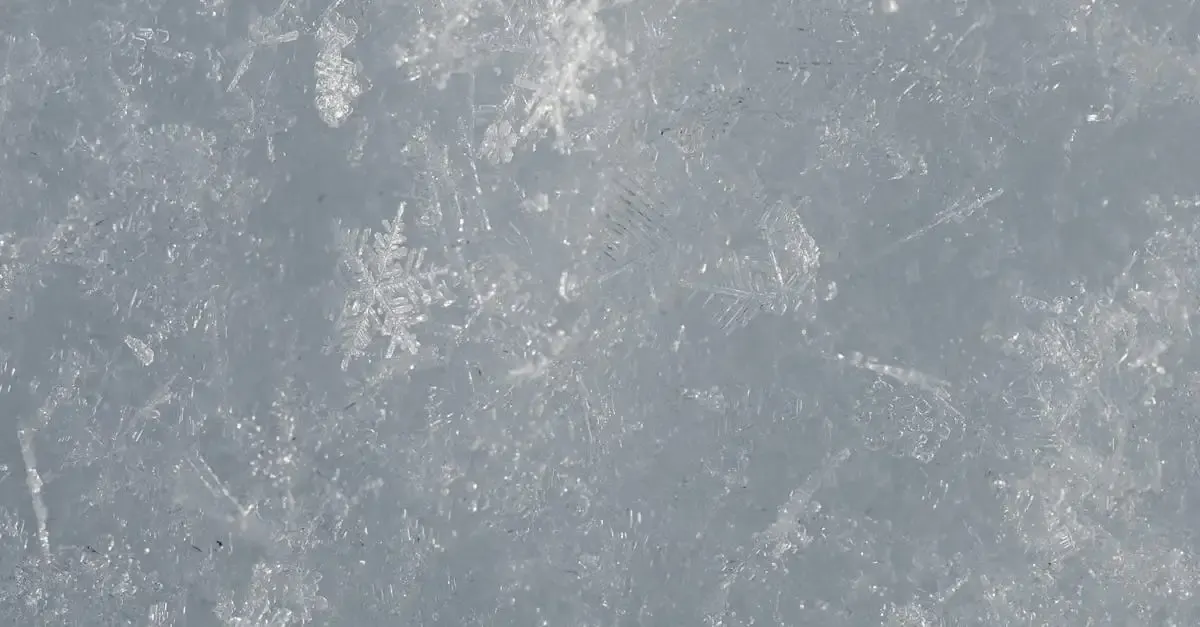 Schneeflocken fotografie