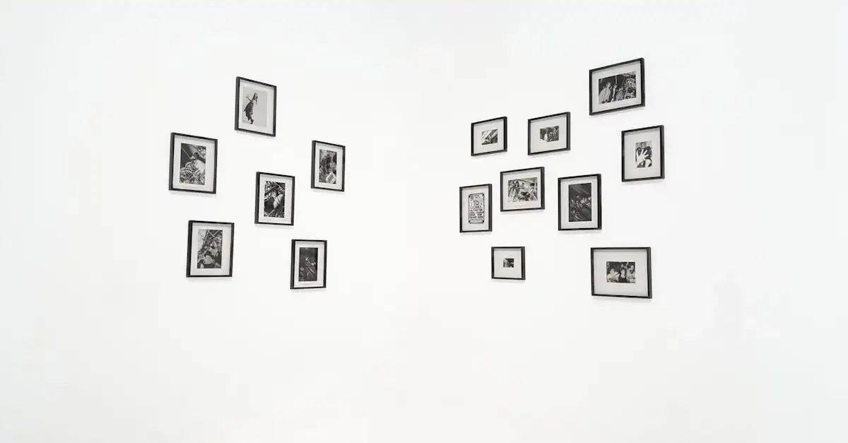 Fotografie schwarz weiss bilder