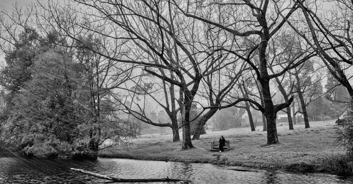 Fotografie landschaft schwarz weiß