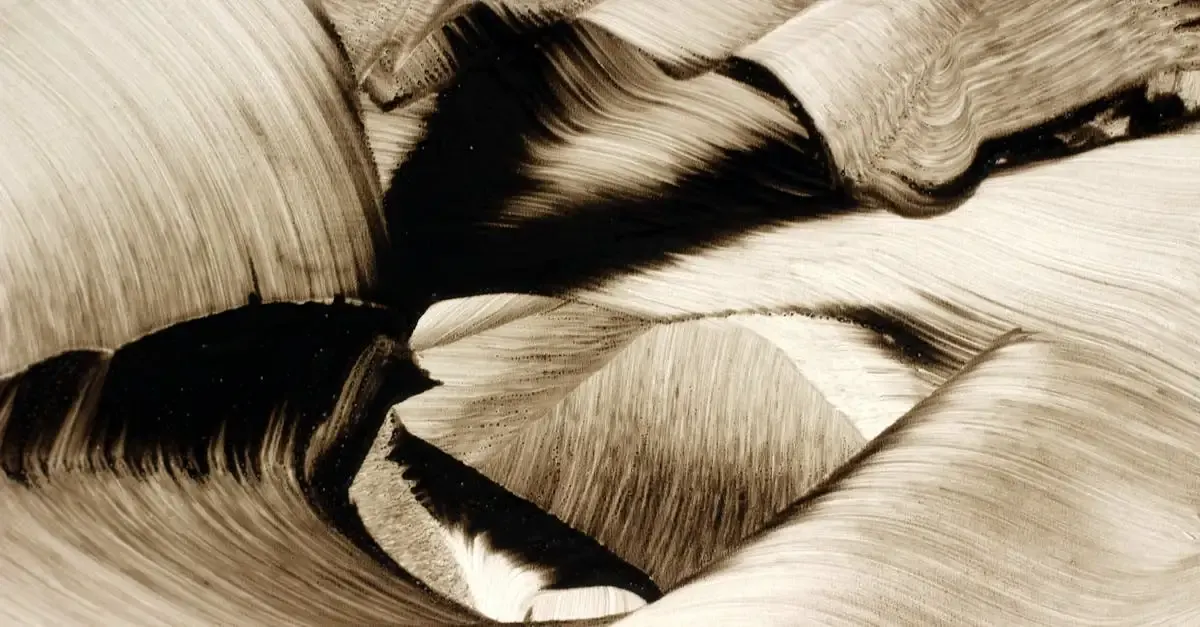 Sepia fotografie