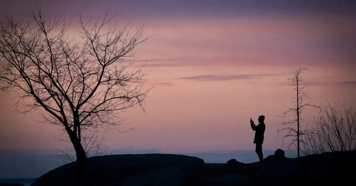Silhouetten fotografie