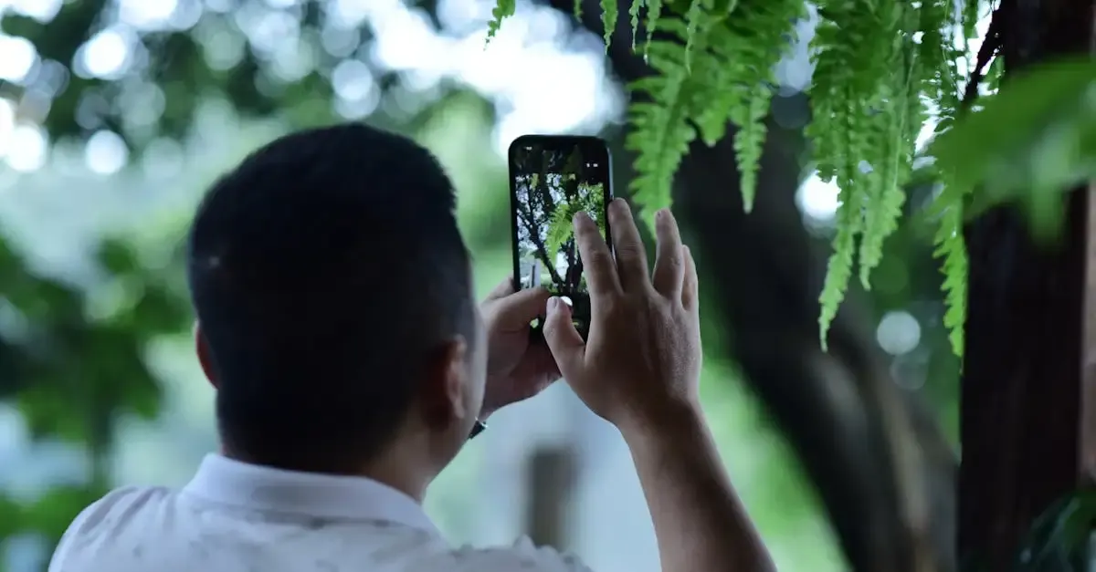 Fotografie mit dem smartphone