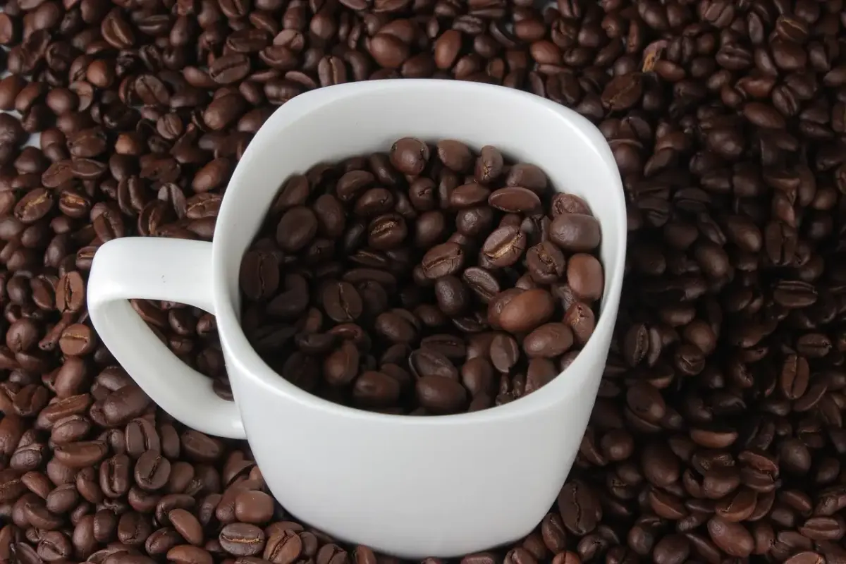 Becher fotografie