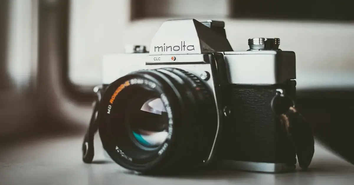Little vintage fotografie